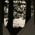 IMG 6637
