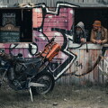 dscf4318 54567853699 l