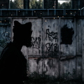 image00003