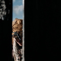 image00087